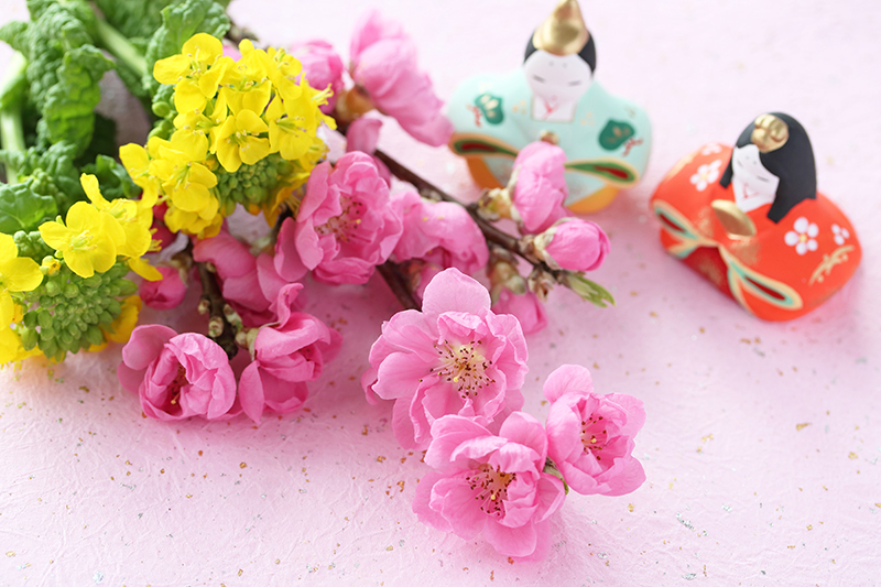 花行事育取得後の主な活動は?