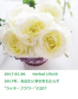 NOEVIR BOTANICAL LIFE ~TOKYO FM「クロノス」~