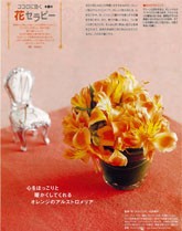 オレンジページ からだの本 vol.12