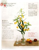 オレンジページ からだの本 vol.7