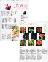 Misty 3月号 2006